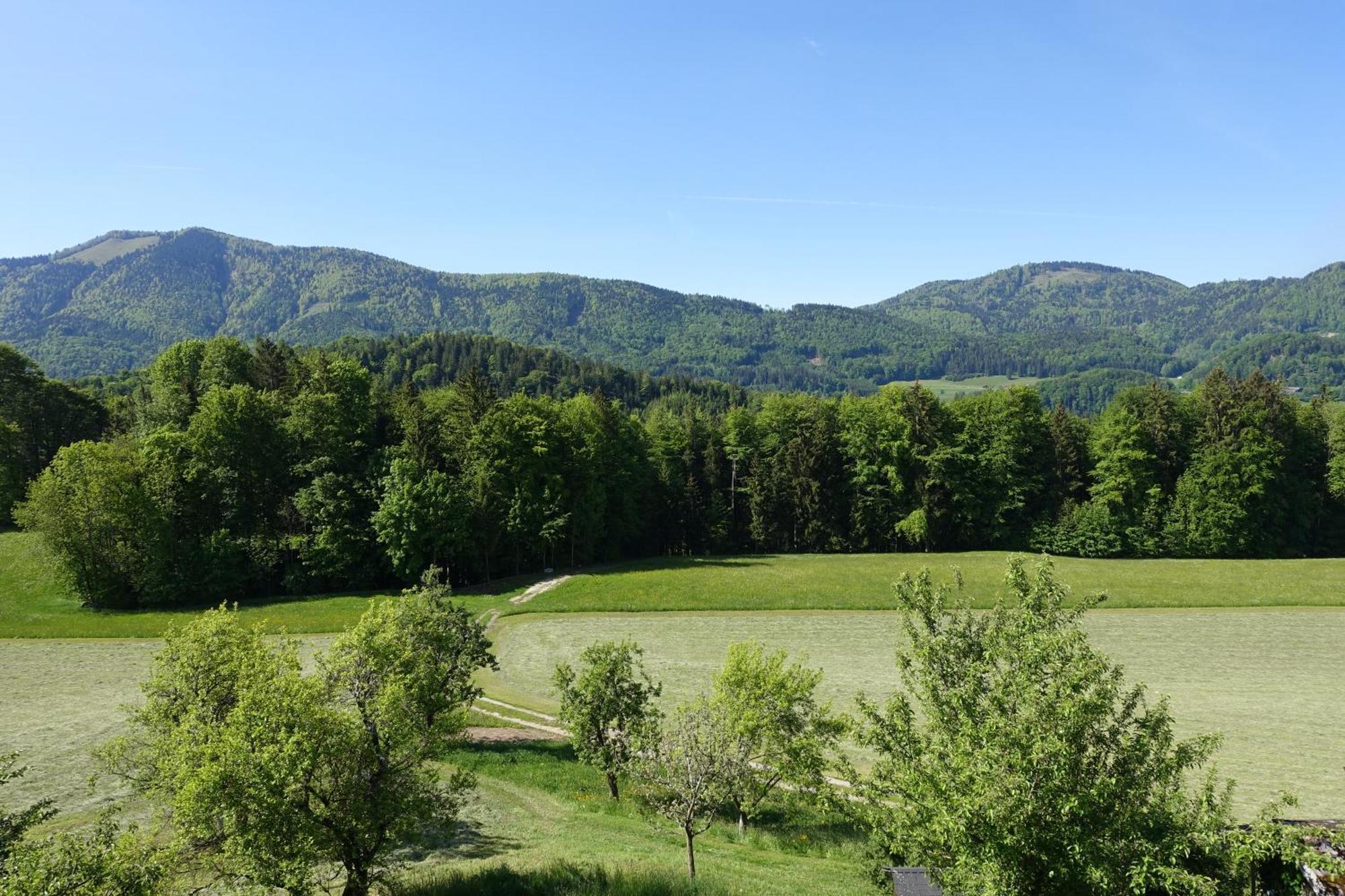 Leitingerhof Villa Thalgau Eksteriør billede