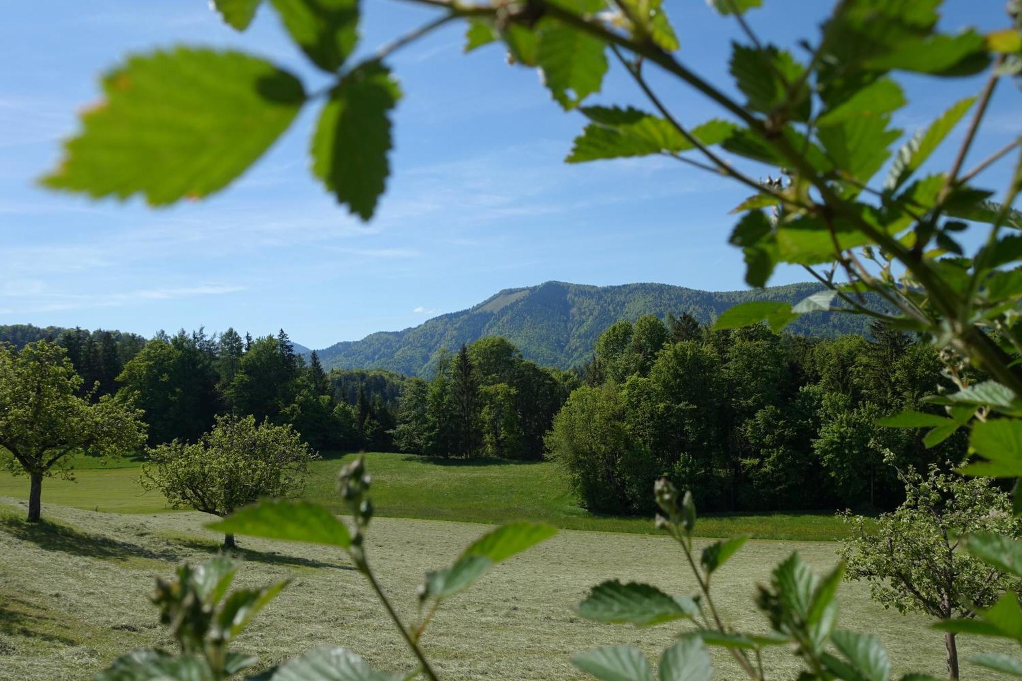 Leitingerhof Villa Thalgau Eksteriør billede